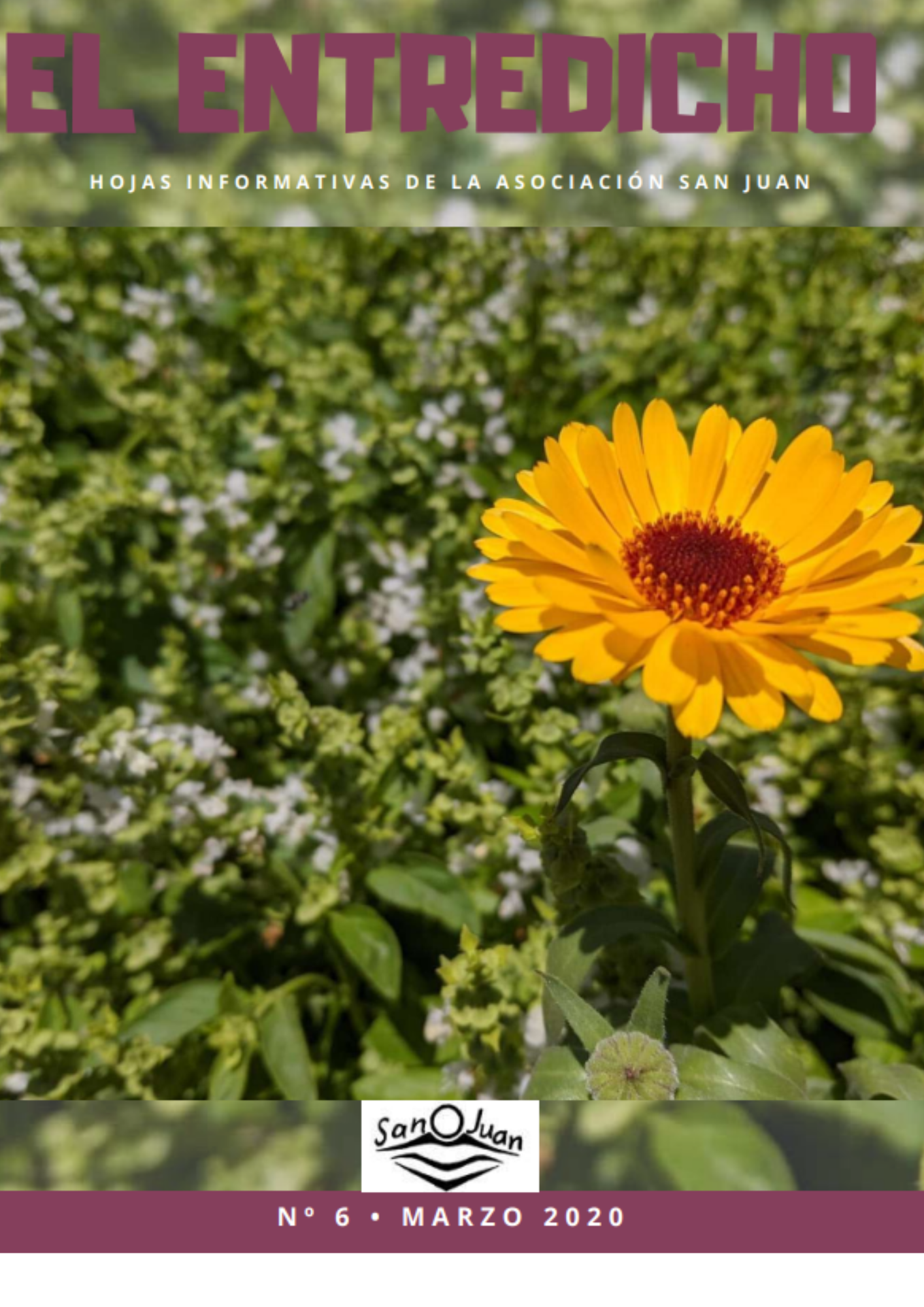 ENTREDICHO Nuevo (1)